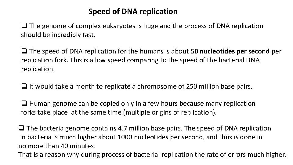 Speed of DNA replication q The genome of complex eukaryotes is huge and the