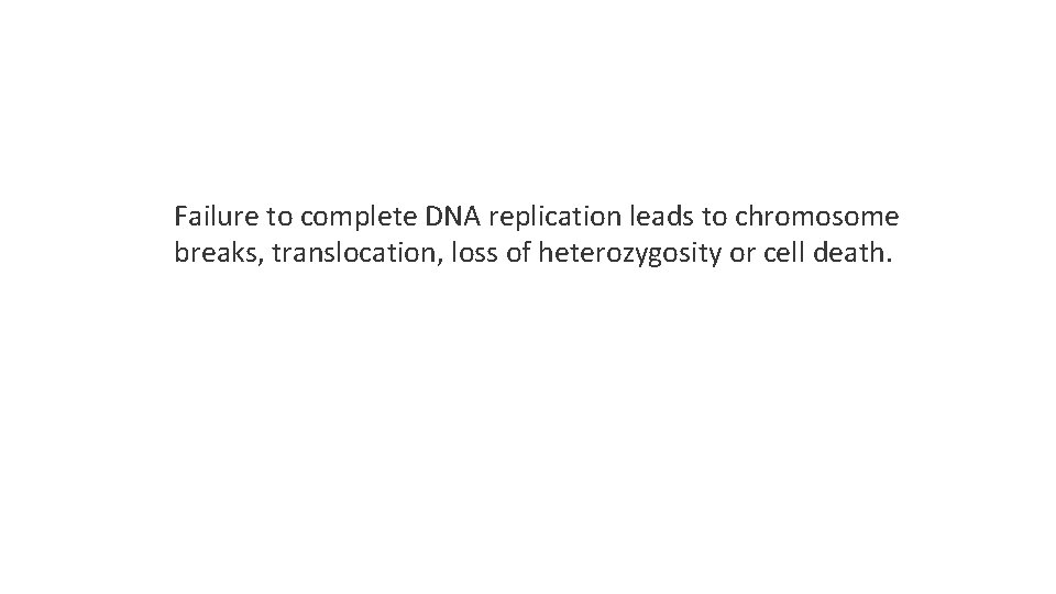 Failure to complete DNA replication leads to chromosome breaks, translocation, loss of heterozygosity or
