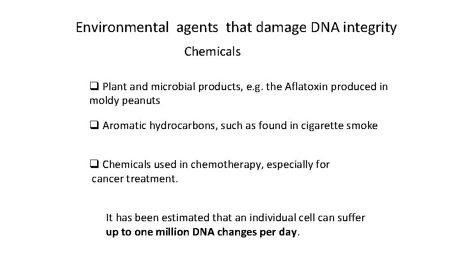 Environmental agents that damage DNA integrity Chemicals q Plant and microbial products, e. g.