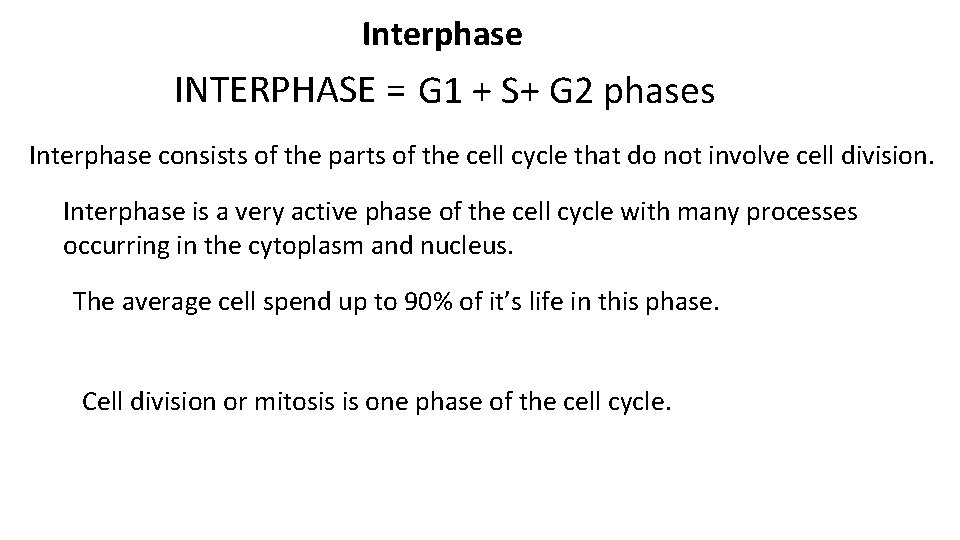 Interphase INTERPHASE = G 1 + S+ G 2 phases Interphase consists of the