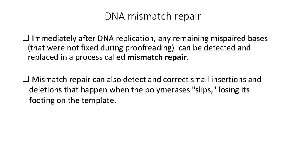 DNA mismatch repair q Immediately after DNA replication, any remaining mispaired bases (that were