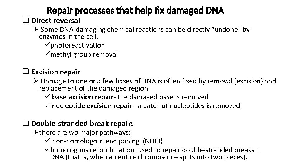 Repair processes that help fix damaged DNA q Direct reversal Ø Some DNA-damaging chemical