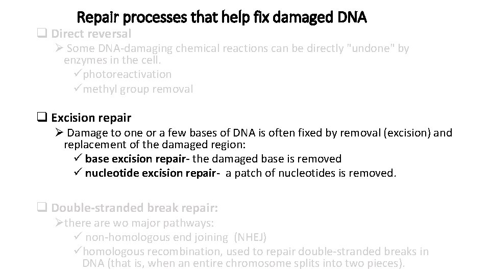 Repair processes that help fix damaged DNA q Direct reversal Ø Some DNA-damaging chemical