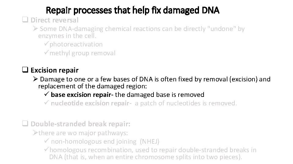 Repair processes that help fix damaged DNA q Direct reversal Ø Some DNA-damaging chemical