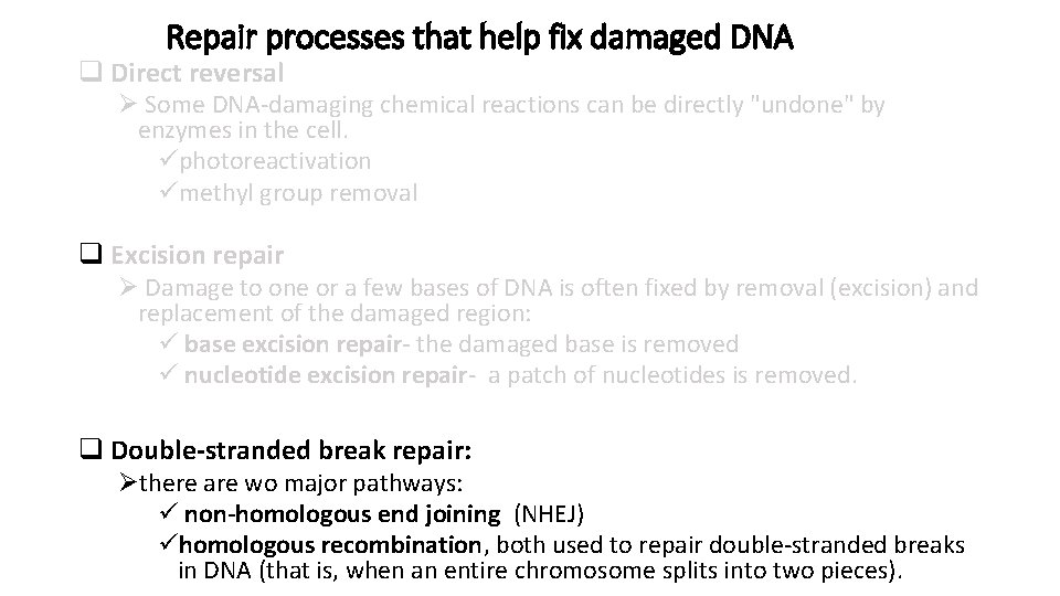 Repair processes that help fix damaged DNA q Direct reversal Ø Some DNA-damaging chemical