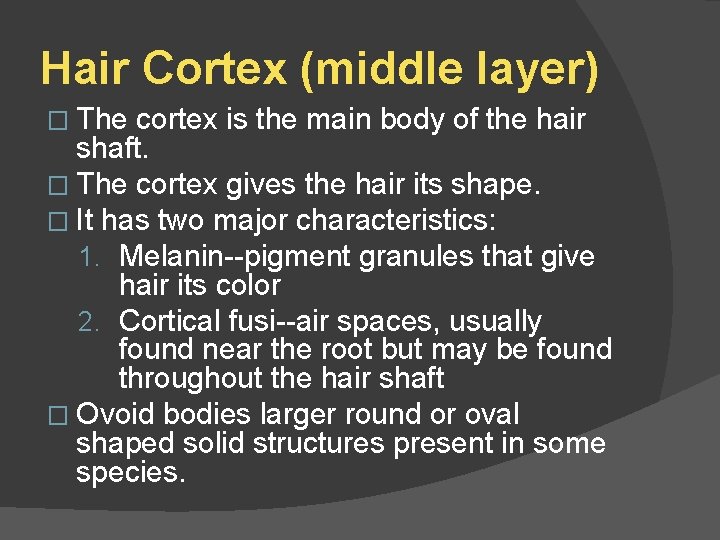 Hair Cortex (middle layer) � The cortex is the main body of the hair