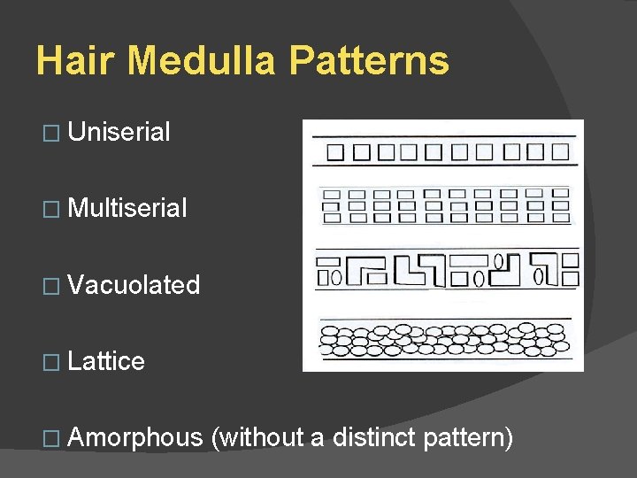 Hair Medulla Patterns � Uniserial � Multiserial � Vacuolated � Lattice � Amorphous (without
