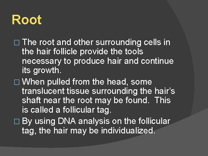 Root � The root and other surrounding cells in the hair follicle provide the
