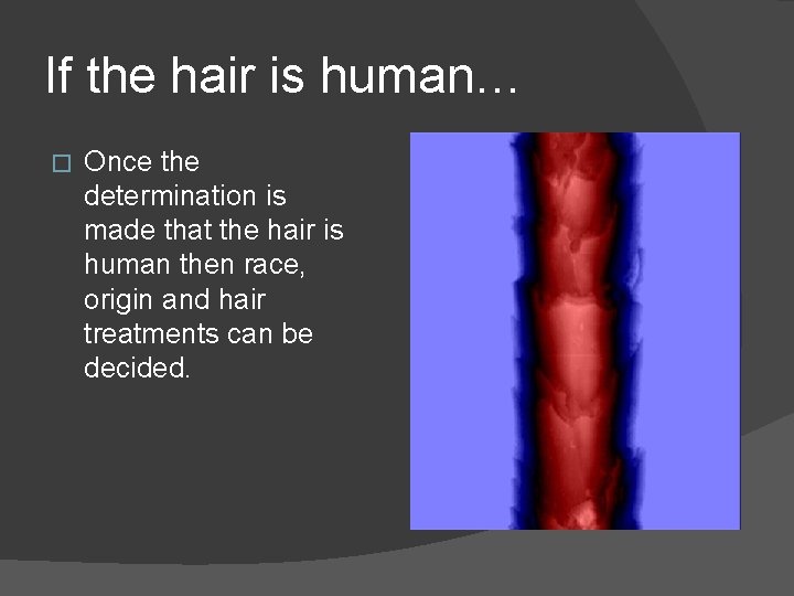 If the hair is human… � Once the determination is made that the hair