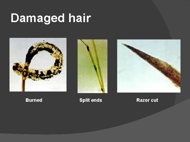 Damaged hair Burned Split ends Razor cut 
