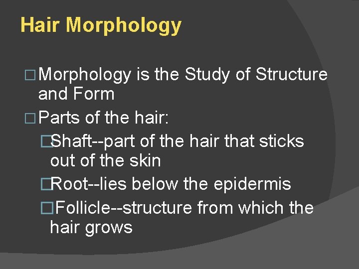 Hair Morphology � Morphology is the Study of Structure and Form � Parts of