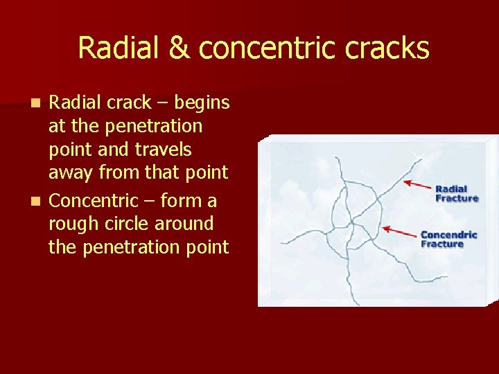 Radial & concentric cracks Radial crack – begins at the penetration point and travels