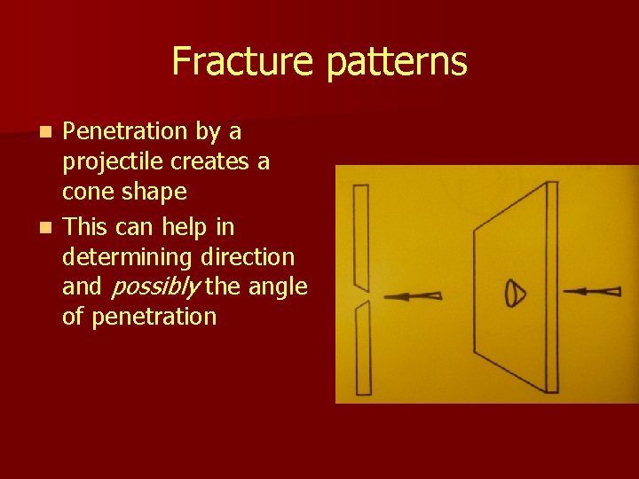 Fracture patterns Penetration by a projectile creates a cone shape n This can help