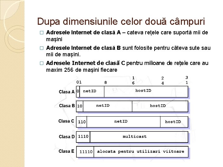 Dupa dimensiunile celor două câmpuri � Adresele Internet de clasă A – cateva reţele
