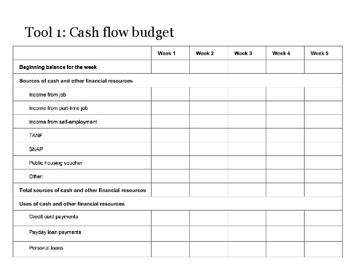 Tool 1: Cash flow budget 