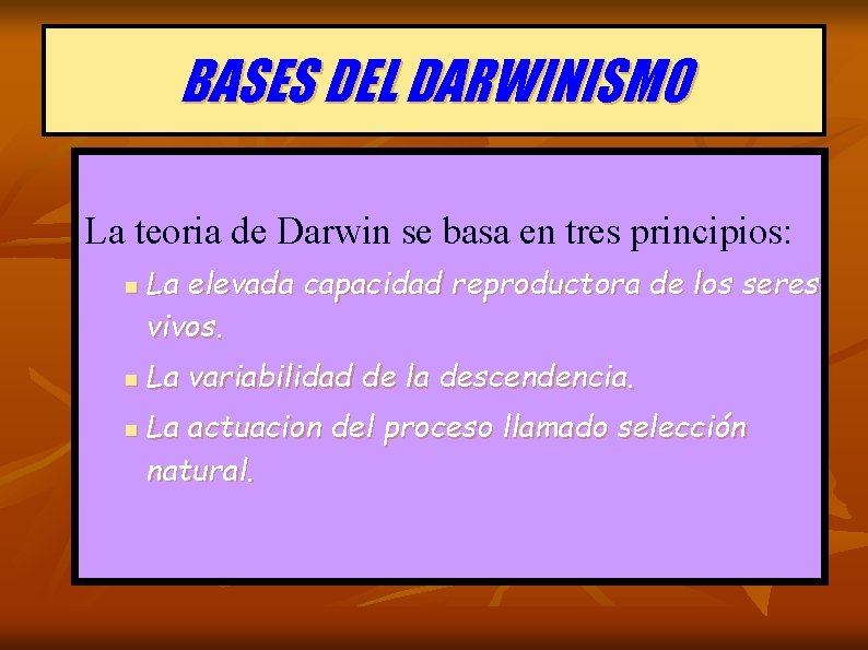 BASES DEL DARWINISMO La teoria de Darwin se basa en tres principios: n n