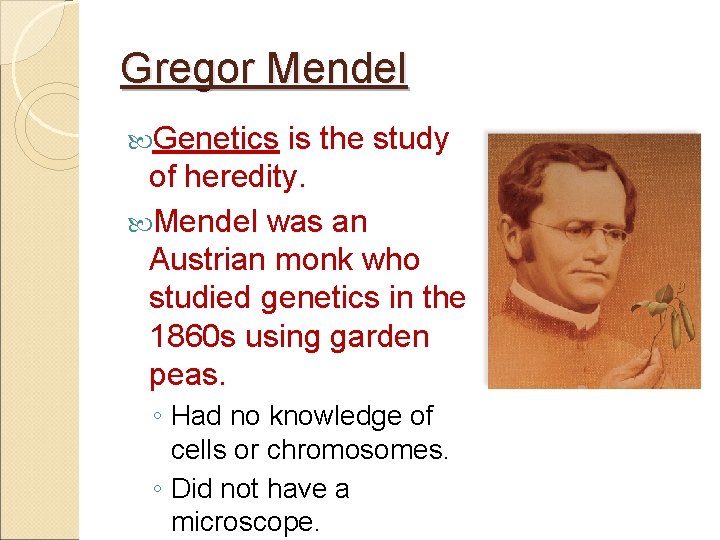 Gregor Mendel Genetics is the study of heredity. Mendel was an Austrian monk who