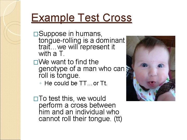 Example Test Cross �Suppose in humans, tongue-rolling is a dominant trait…we will represent it