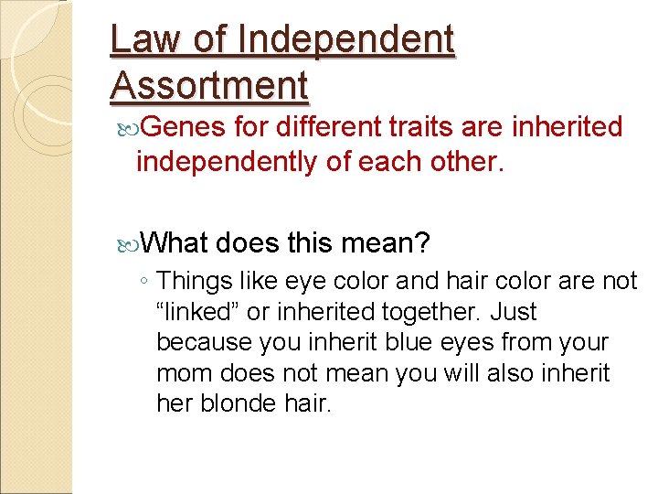 Law of Independent Assortment Genes for different traits are inherited independently of each other.