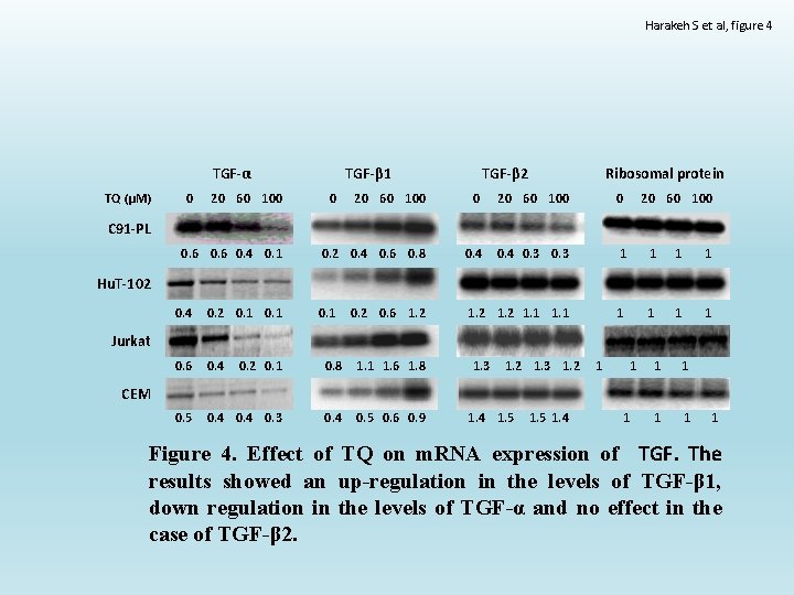 Harakeh S et al, figure 4 TGF-α TQ (μM) 0 20 60 100 TGF-β