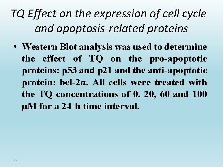 TQ Effect on the expression of cell cycle and apoptosis-related proteins • Western Blot