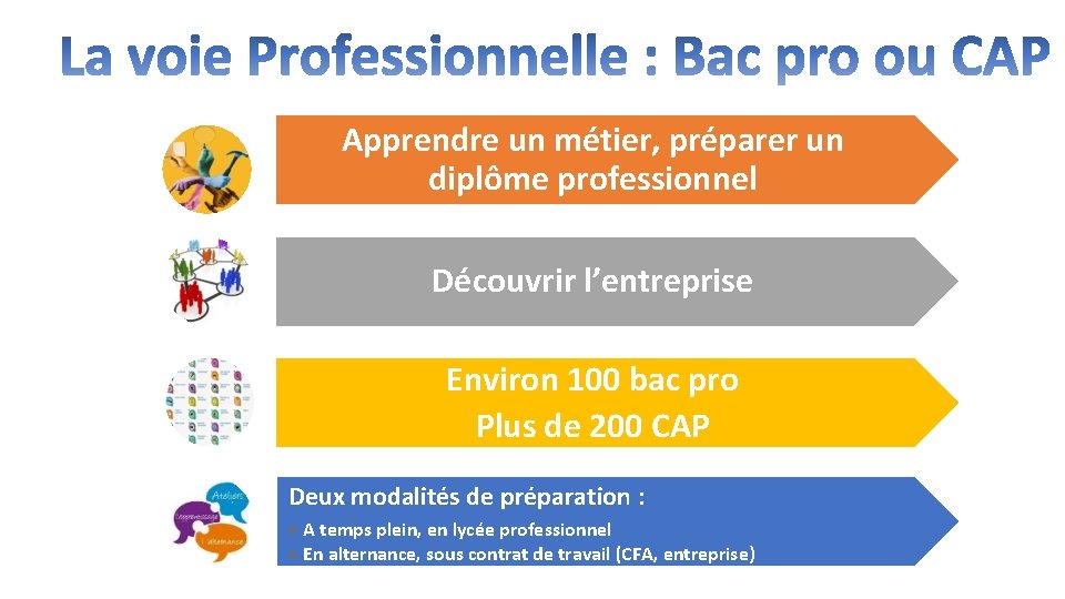 Apprendre un métier, préparer un diplôme professionnel Découvrir l’entreprise Environ 100 bac pro Plus