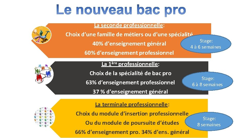 La seconde professionnelle: Choix d’une famille de métiers ou d’une spécialité Stage: 40% d’enseignement