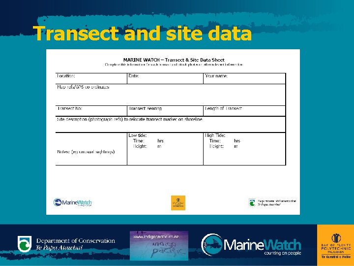 Transect and site data 