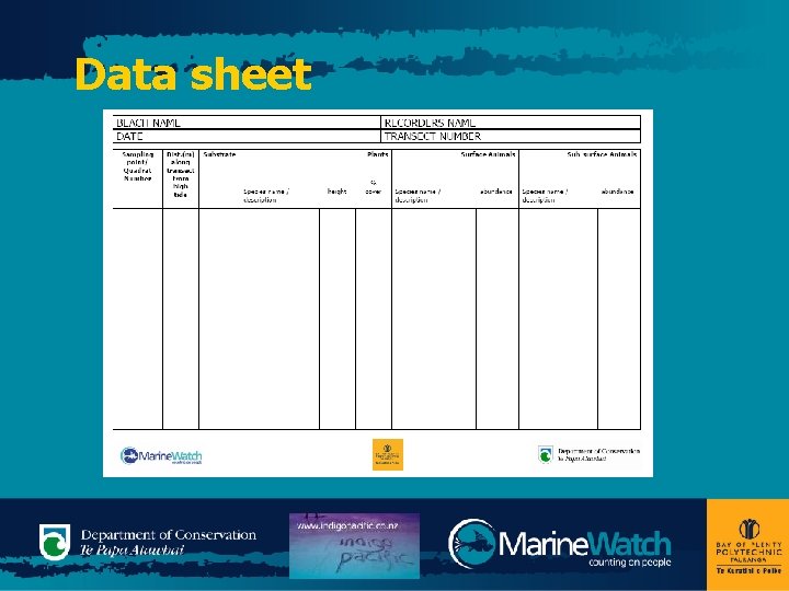Data sheet 