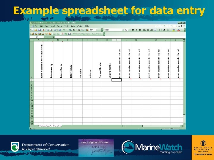Example spreadsheet for data entry 