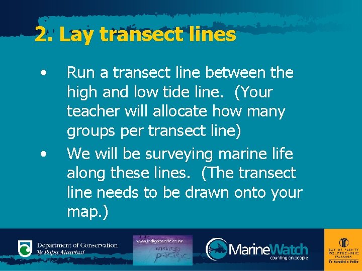 2. Lay transect lines • • Run a transect line between the high and