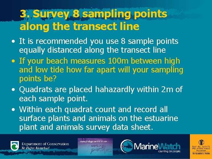 3. Survey 8 sampling points along the transect line • It is recommended you