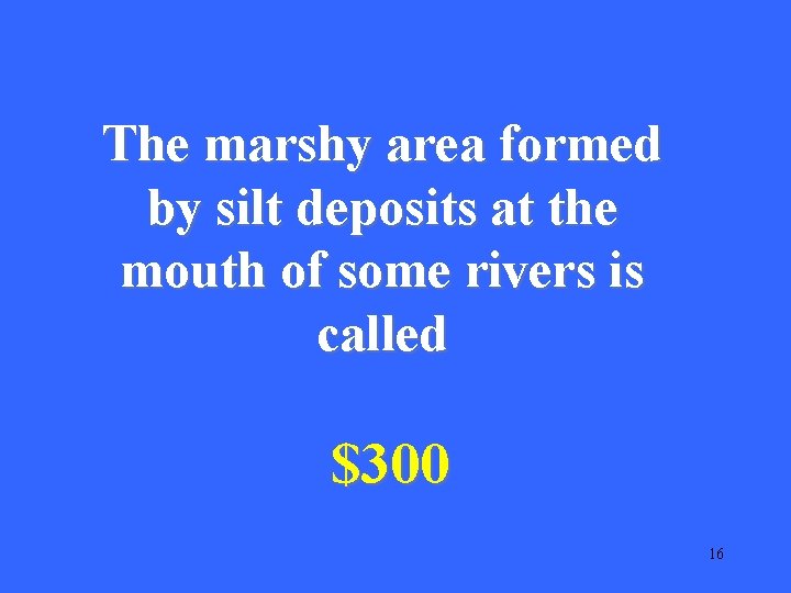 The marshy area formed by silt deposits at the mouth of some rivers is