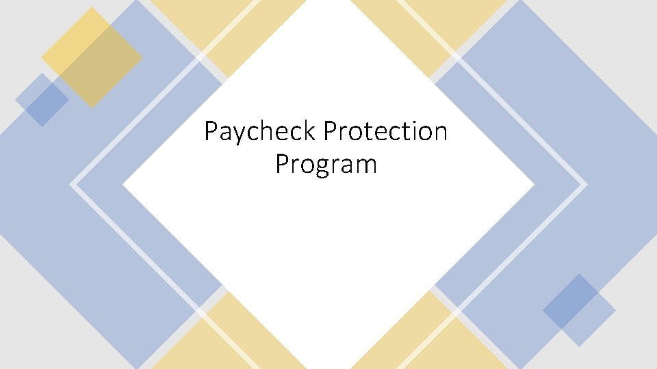 Paycheck Protection Program 