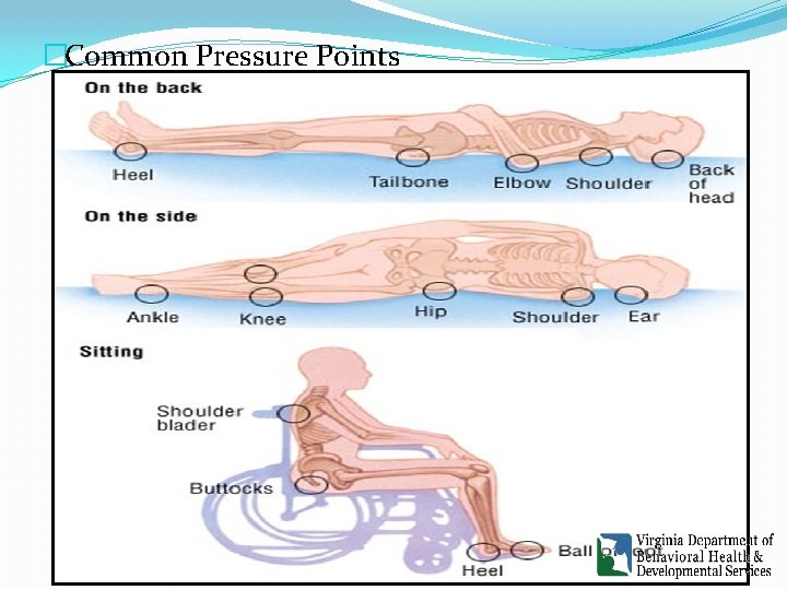 �Common Pressure Points �Common Pressure Points
