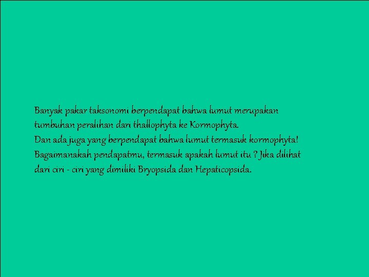 Banyak pakar taksonomi berpendapat bahwa lumut merupakan tumbuhan peralihan dari thallophyta ke Kormophyta. Dan