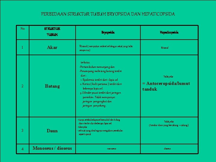 PERBEDAAN STRUKTUR TUBUH BRYOPSIDA DAN HEPATICOPSIDA No STRUKTUR TUBUH 1 Akar 2 Batang 3