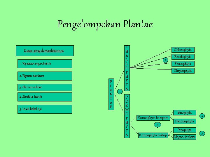 Pengelompokan Plantae Dasar pengelompokkannya : 1. . Kejelasan organ tubuh 2. Pigmen dominan 3.