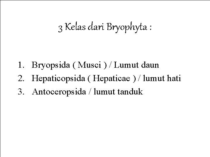 3 Kelas dari Bryophyta : 1. Bryopsida ( Musci ) / Lumut daun 2.