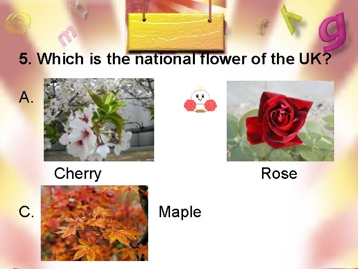 5. Which is the national flower of the UK? A. B. Cherry C. Rose