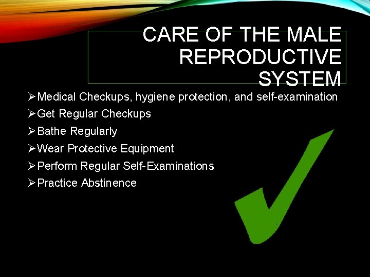 CARE OF THE MALE REPRODUCTIVE SYSTEM ØMedical Checkups, hygiene protection, and self-examination ØGet Regular