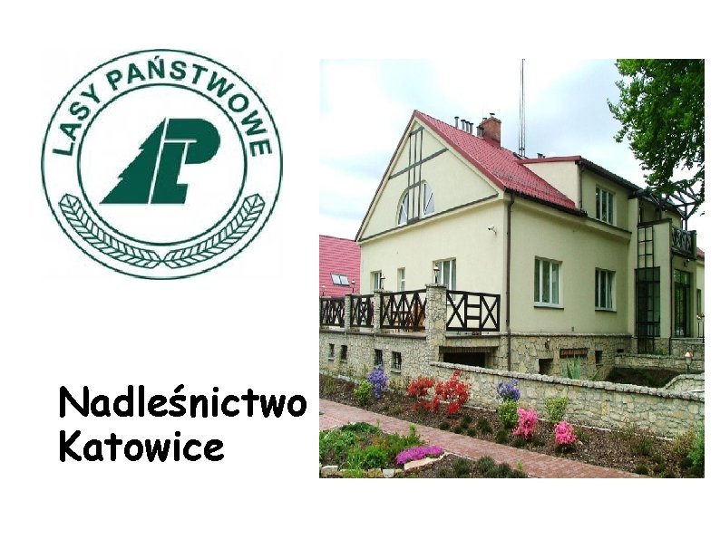 Nadleśnictwo Katowice 