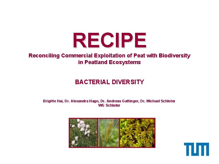 RECIPE Reconciling Commercial Exploitation of Peat with Biodiversity in Peatland Ecosystems BACTERIAL DIVERSITY Brigitte