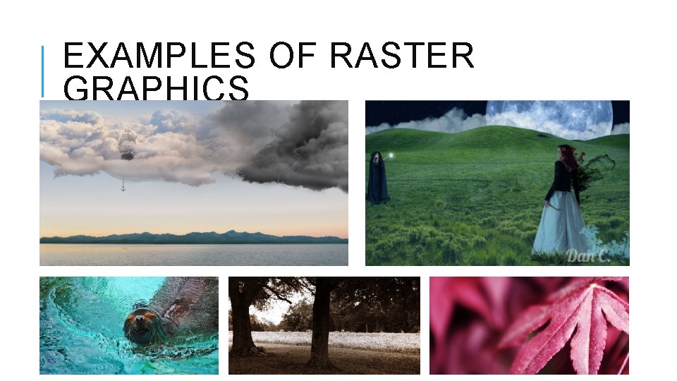 EXAMPLES OF RASTER GRAPHICS 