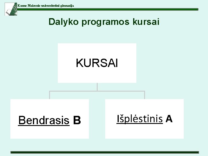 Kauno Maironio universitetinė gimnazija Dalyko programos kursai KURSAI Bendrasis B Išplėstinis A 