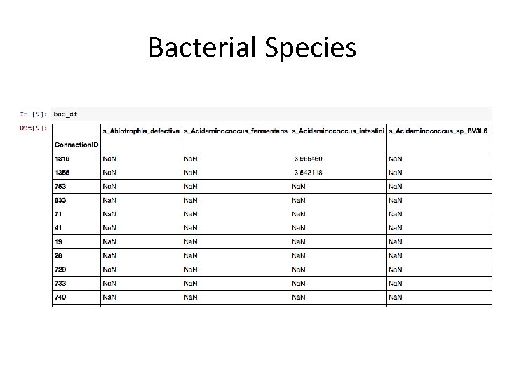 Bacterial Species 
