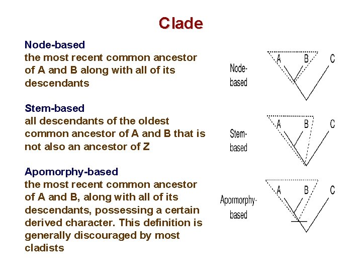 Clade Node-based the most recent common ancestor of A and B along with all