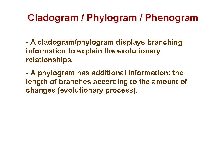 Cladogram / Phylogram / Phenogram - A cladogram/phylogram displays branching information to explain the