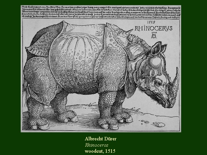 Albrecht Dürer Rhinoceros woodcut, 1515 