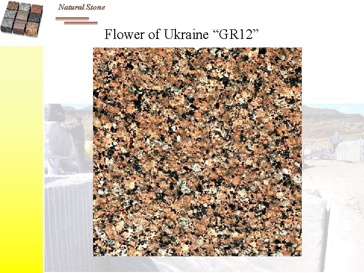 Natural Stone Flower of Ukraine “GR 12” 